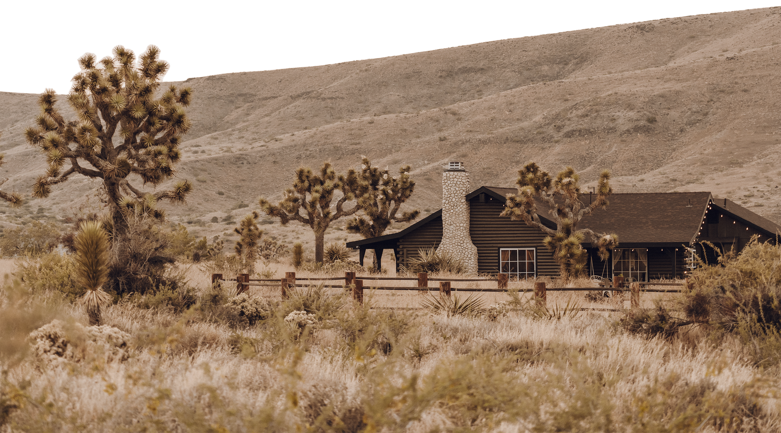 Joshua Tree Bachelorette Party: The Ultimate Planning Guide