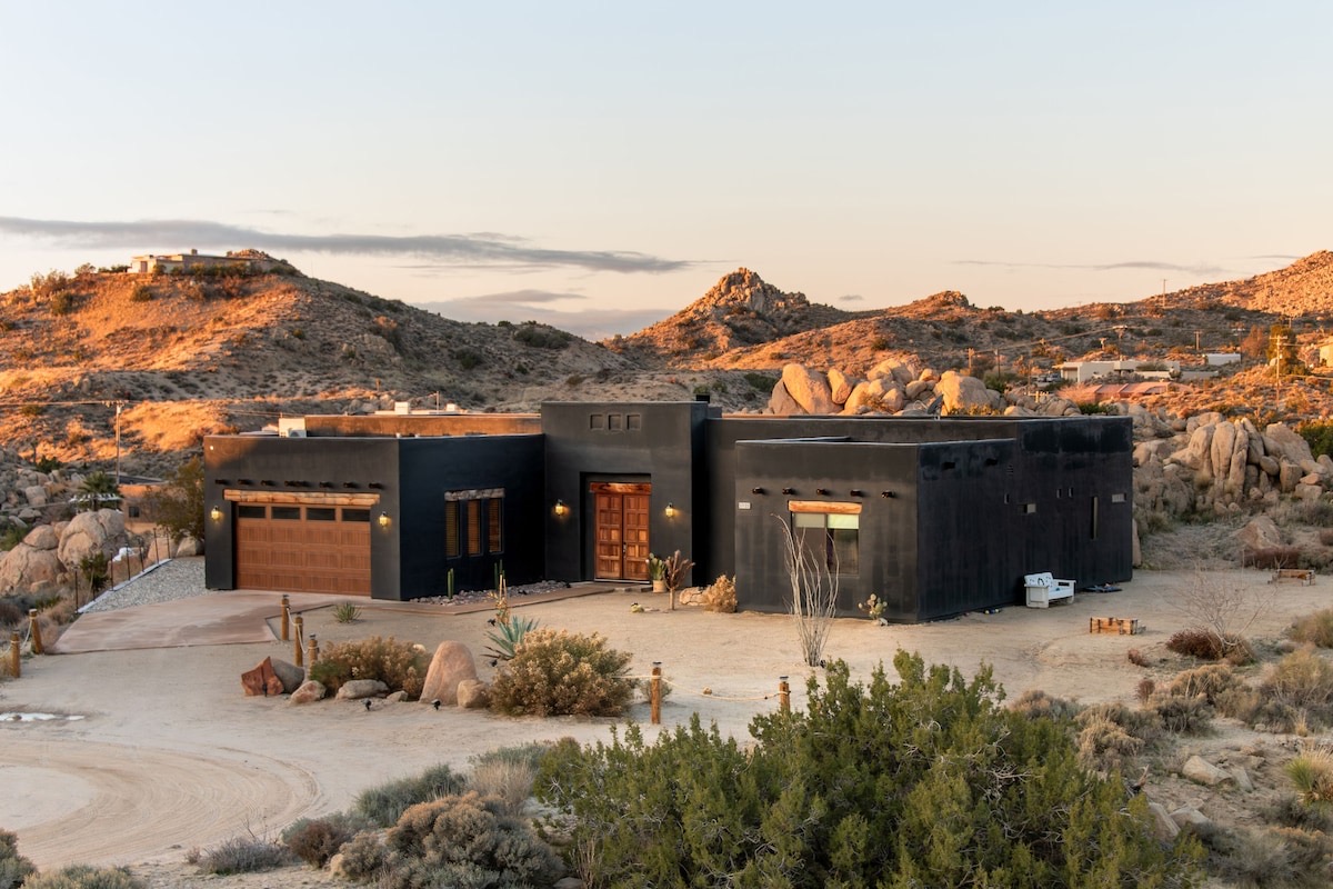 Desert Wildflower Season 2026: Where and When to See the Bloom