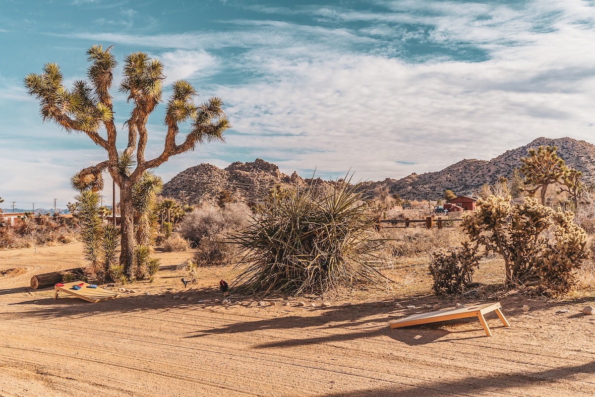 House of Roy kitchen